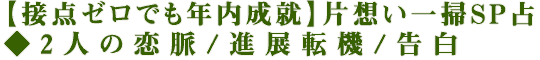 【接点ゼロでも年内成就】片想い一掃SP占◆2人の恋脈/進展転機/告白