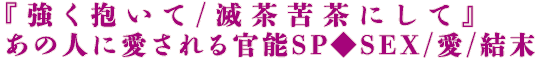 『強く抱いて/滅茶苦茶にして』あの人に愛される官能SP◆SEX/愛/結末