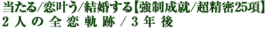 当たる/恋叶う/結婚する【強制成就/超精密25項】2人の全恋軌跡/3年後