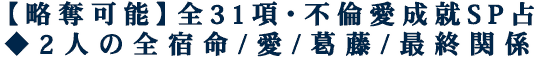 【略奪可能】全31項・不倫愛成就SP占◆2人の全宿命/愛/葛藤/最終関係