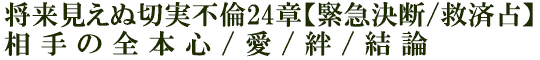 将来見えぬ切実不倫24章【緊急決断/救済占】相手の全本心/愛/絆/結論