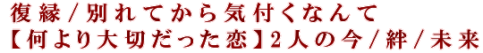 復縁/別れてから気付くなんて【何より大切だった恋】2人の今/絆/未来