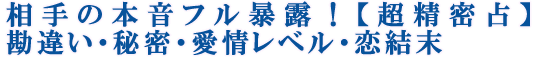 相手の本音フル暴露！【超精密占】勘違い・秘密・愛情レベル・恋結末