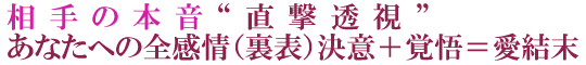 相手の本音“直撃透視”あなたへの全感情（裏表）決意＋覚悟＝愛結末