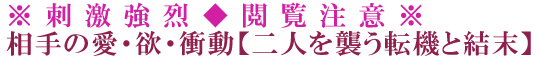 ※刺激強烈◆閲覧注意※相手の愛・欲・衝動【二人を襲う転機と結末】