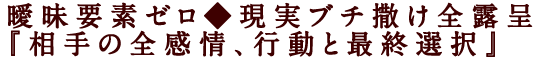 曖昧要素ゼロ◆現実ブチ撒け全露呈『相手の全感情、行動と最終選択』