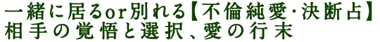 一緒に居るor別れる【不倫純愛・決断占】相手の覚悟と選択、愛の行末
