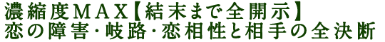 濃縮度MAX【結末まで全開示】恋の障害・岐路・恋相性と相手の全決断