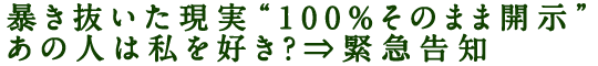 暴き抜いた現実“100％そのまま開示”あの人は私を好き？⇒緊急告知