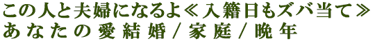 この人と夫婦になるよ≪入籍日もズバ当て≫あなたの愛結婚/家庭/晩年