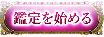 鑑定を始める