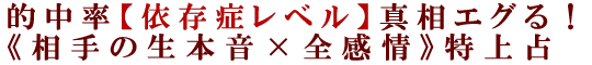 的中率【依存症レベル】真相エグる！《相手の生本音×全感情》特上占