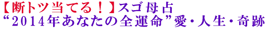 【断トツ当てる！】スゴ母占“2014年あなたの全運命”愛・人生・奇跡