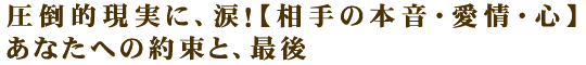 圧倒的現実に、涙！【相手の本音・愛情・心】あなたへの約束と、最後