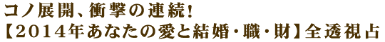 コノ展開、衝撃の連続！【2014年あなたの愛と結婚・職・財】全透視占