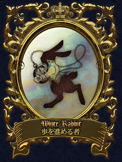 White Rabbit@i߂
