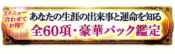 3メニュー合わせてお得!!　あなたの生涯の出来事と運命を知る　全60項・豪華パック鑑定