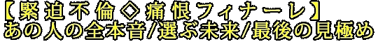 【緊迫不倫◇痛恨フィナーレ】あの人の全本音/選ぶ未来/最後の見極め