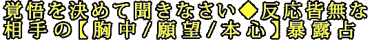 覚悟を決めて聞きなさい◆反応皆無な相手の【胸中/願望/本心】暴露占