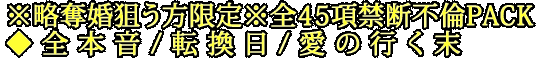 ※略奪婚狙う方限定※全45項禁断不倫PACK◆全本音/転換日/愛の行く末