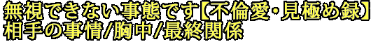 無視できない事態です【不倫愛・見極め録】相手の事情/胸中/最終関係