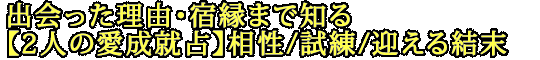 出会った理由・宿縁まで知る【2人の愛成就占】相性/試練/迎える結末