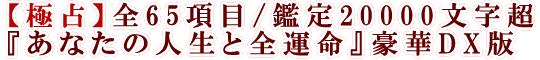 【極占】全65項目/鑑定20000文字超『あなたの人生と全運命』豪華DX版