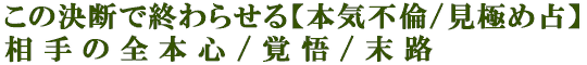 この決断で終わらせる【本気不倫/見極め占】相手の全本心/覚悟/末路