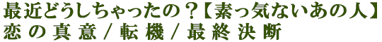 最近どうしちゃったの？【素っ気ないあの人】恋の真意/転機/最終決断