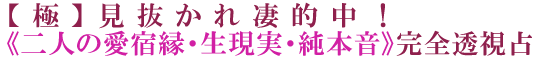 【極】見抜かれ凄的中！《二人の愛宿縁・生現実・純本音》完全透視占