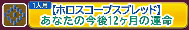 特別メニュー
ホロスコープスプレッドで占う
あなたの今後12ヶ月の運命
無料で鑑定