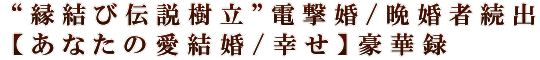 “縁結び伝説樹立”電撃婚/晩婚者続出【あなたの愛結婚/幸せ】豪華録