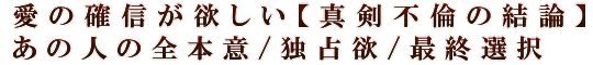 愛の確信が欲しい【真剣不倫の結論】あの人の全本意/独占欲/最終選択