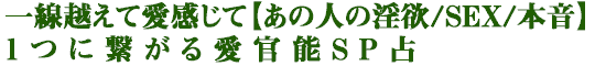 一線越えて愛感じて【あの人の淫欲/SEX/本音】1つに繋がる愛官能SP占