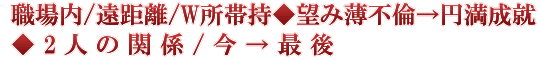職場内/遠距離/W所帯持◆望み薄不倫→円満成就◆2人の関係/今→最後