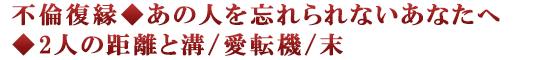 不倫復縁◆あの人を忘れられないあなたへ◆2人の距離と溝/愛転機/末