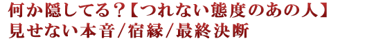 何か隠してる？【つれない態度のあの人】見せない本音/宿縁/最終決断