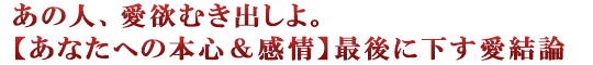 あの人、愛欲むき出しよ。【あなたへの本心＆感情】最後に下す愛結論